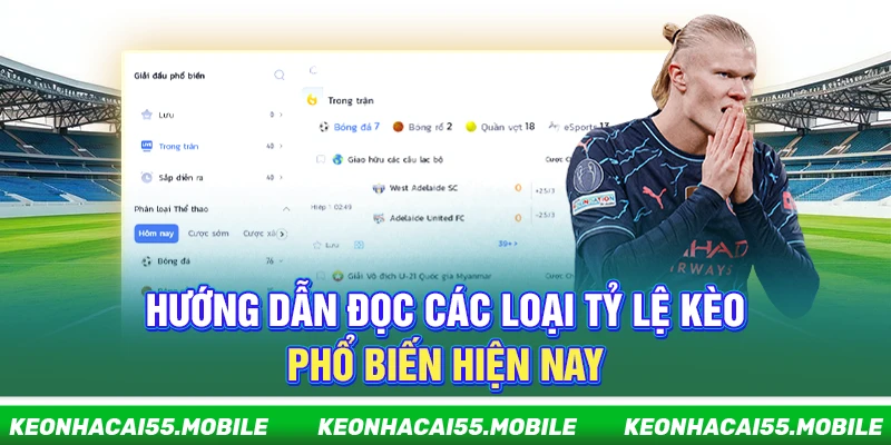 Kèo Nhà Cái wujo ⭐️ Soi Tỷ Lệ Kèo Bóng Đá, Keonhacai Trực Tiếp 2026 23 Hướng dẫn đọc các loại tỷ lệ kèo phổ biến hiện nay