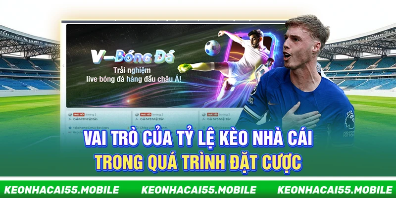 Kèo Nhà Cái wujo ⭐️ Soi Tỷ Lệ Kèo Bóng Đá, Keonhacai Trực Tiếp 2026 22 Vai trò của tỷ lệ kèo nhà cái trong quá trình đặt cược