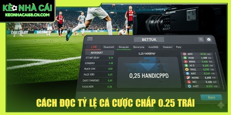 3+ Tỷ Lệ Cá Cược Phổ Biến - Cách Đọc Trường Hợp Chi Tiết 2 Cách đọc tỷ lệ cá cược chấp 0.25 trái