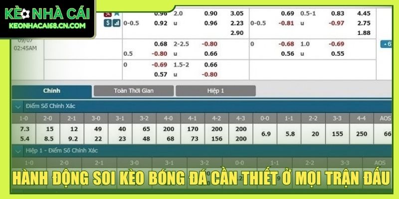 Hành động soi kèo bóng đá cần thiết ở mọi trận đấu