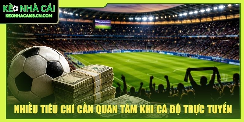 Kèo Bóng Đá: Hướng Dẫn Đọc Tỷ Lệ Cho Người Mới Dễ Hiểu 4 Nhiều tiêu chí cần quan tâm khi cá độ trực tuyến