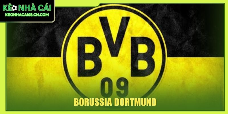 Borussia Dortmund: Biểu Tượng Tham Vòng Bóng Đá Vùng Ruhr 1 Borussia Dortmund